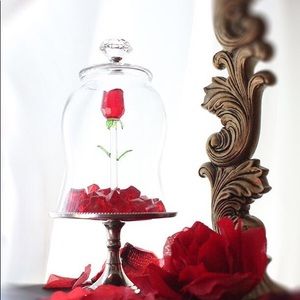 Beauty and the Beast Rose Dome (Read Description)